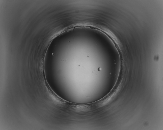 X0000094910857200711291254