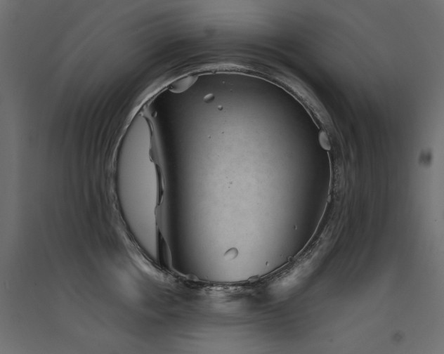 X0000094910858200711291254