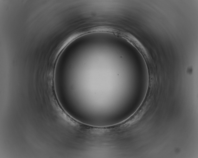 X0000094910860200711291254