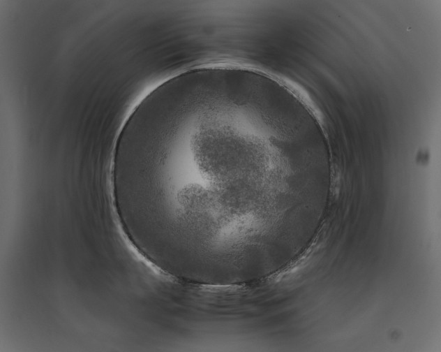 X0000094910863200711291254