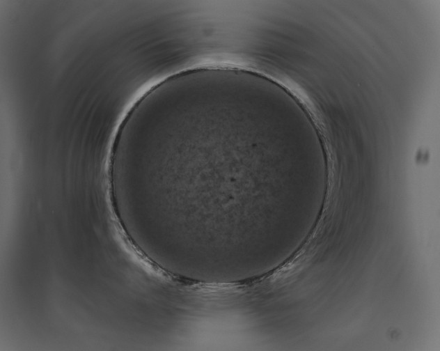 X0000094910864200711291254