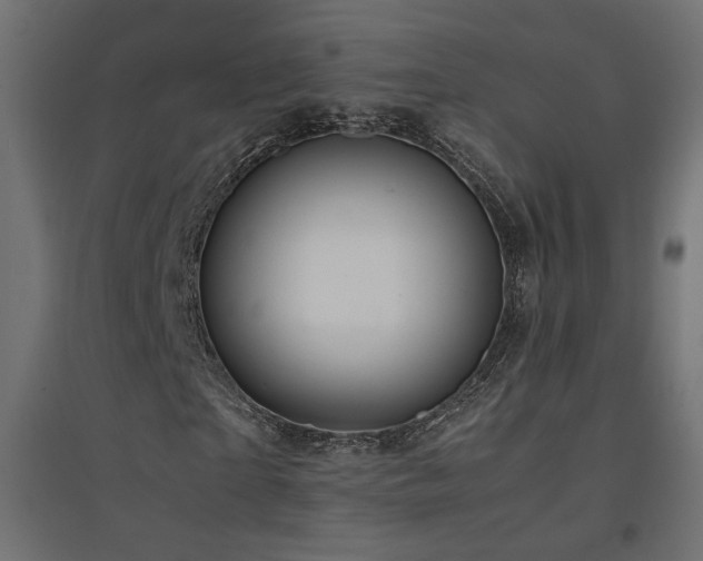 X0000094910865200711291253