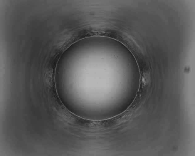 X0000094910867200711291253
