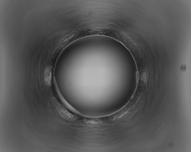 X0000094910868200711291253