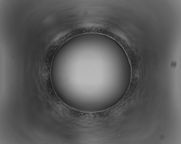X0000094910869200711291253