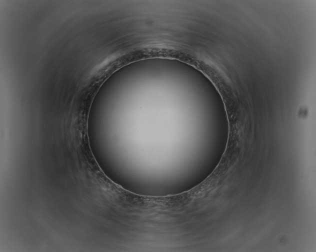 X0000094910870200711291253