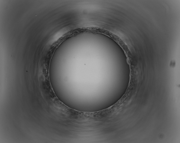 X0000094910871200711291253
