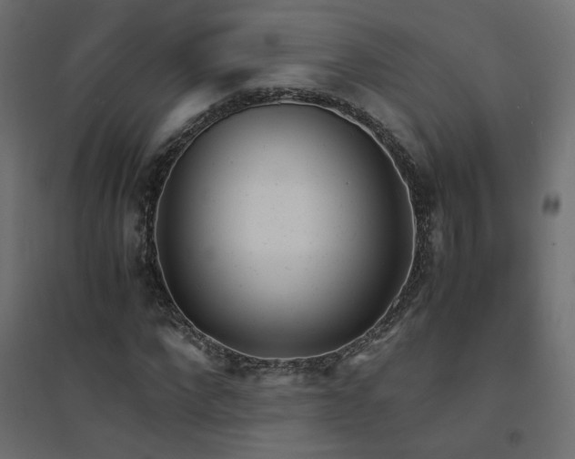 X0000094910872200711291253