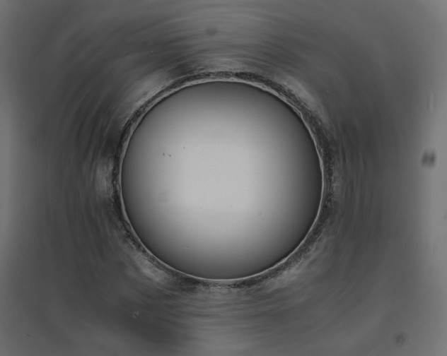 X0000094910873200711291253