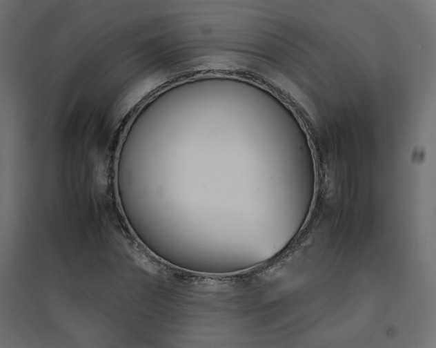 X0000094910874200711291253