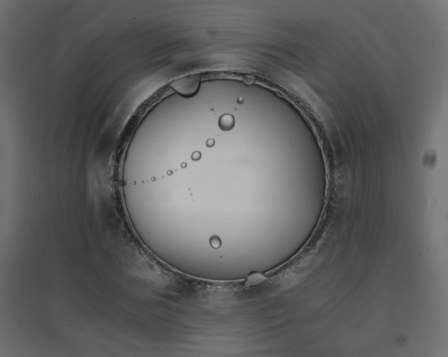 X0000094910875200711291253