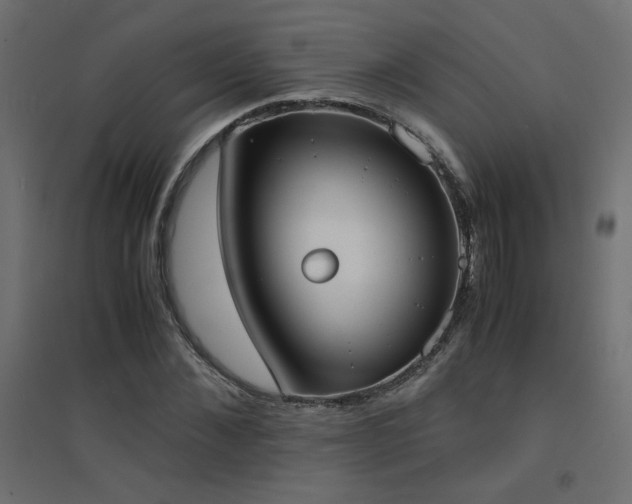 X0000094910876200711291253