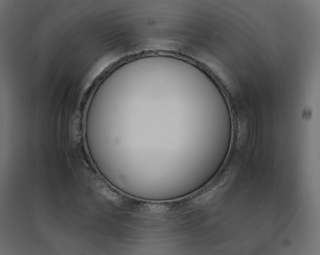 X0000094910878200711291253