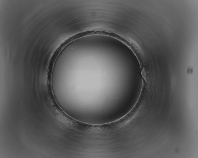 X0000094910880200711291253