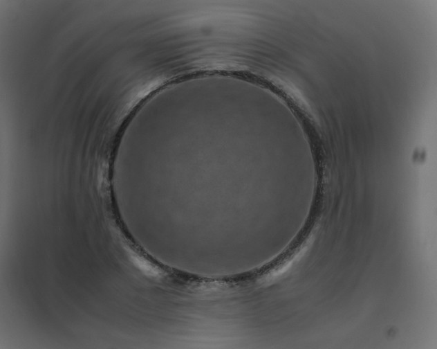 X0000094910881200711291253