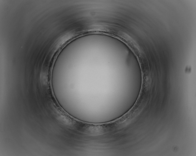 X0000094910882200711291253
