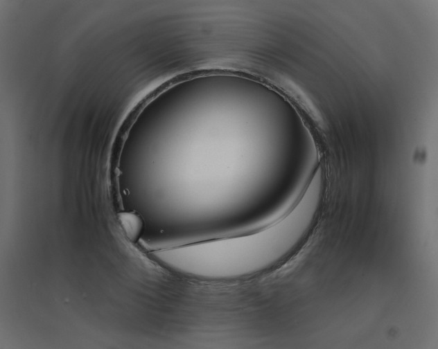 X0000094910884200711291252