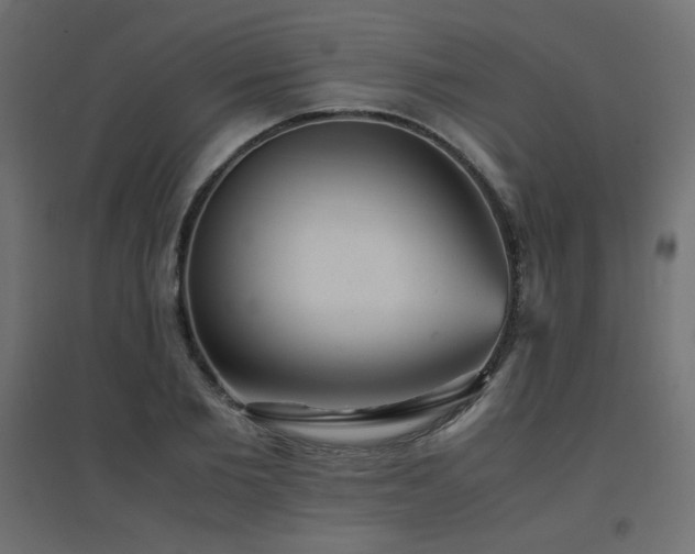 X0000094910885200711291252