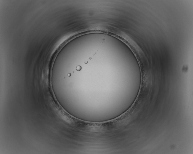 X0000094910886200711291252