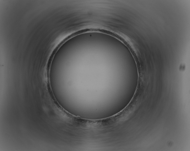 X0000094910887200711291252