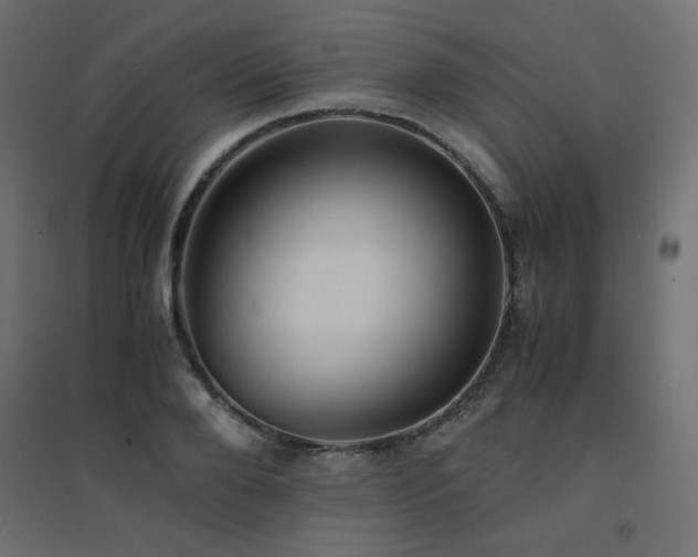 X0000094910888200711291252