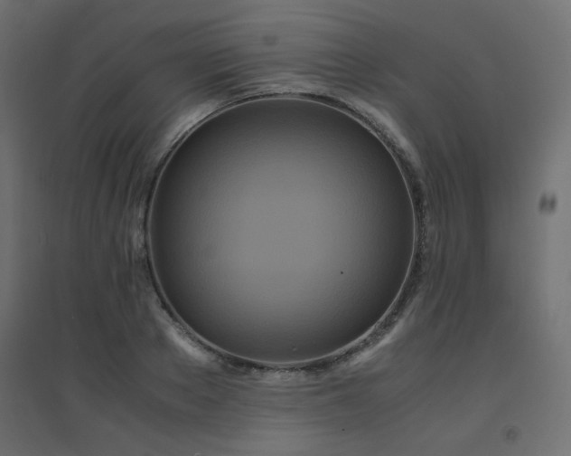 X0000094910889200711291252