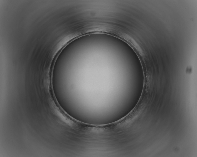 X0000094910890200711291252