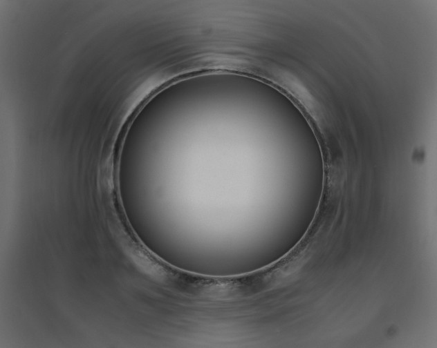 X0000094910891200711291252