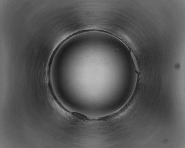X0000094910892200711291252