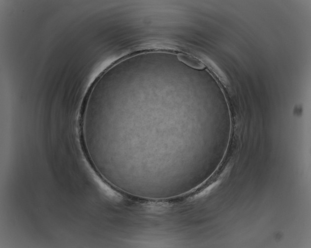 X0000094910893200711291252