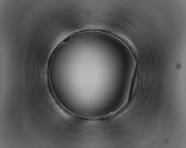 X0000094910894200711291252