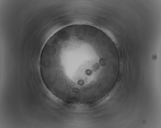 X0000094910895200711291252