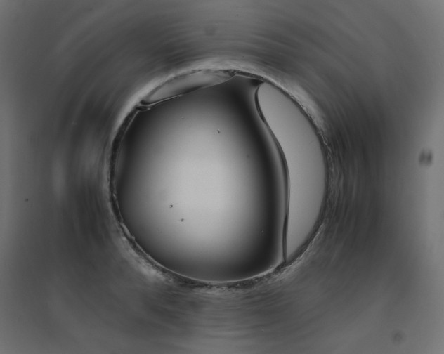 X0000094910896200711291252