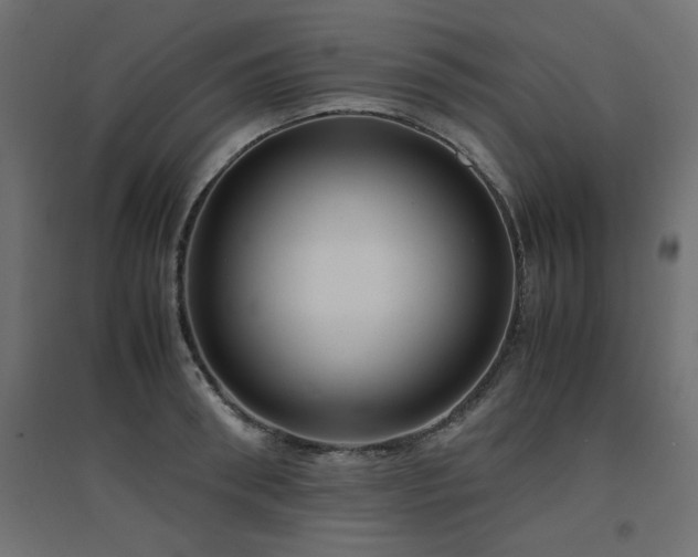 X0000094910898200711291252