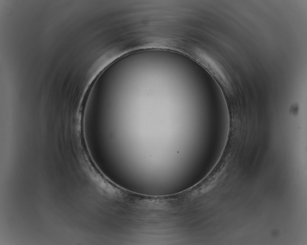 X0000094910900200711291252