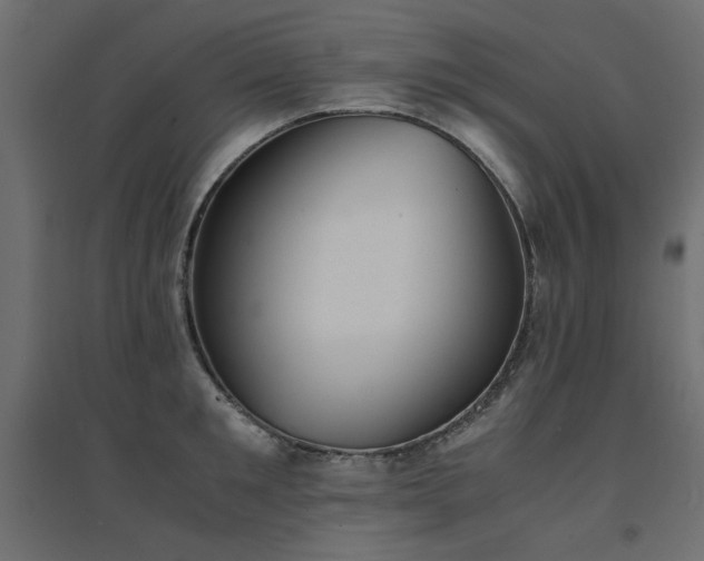 X0000094910901200711291252