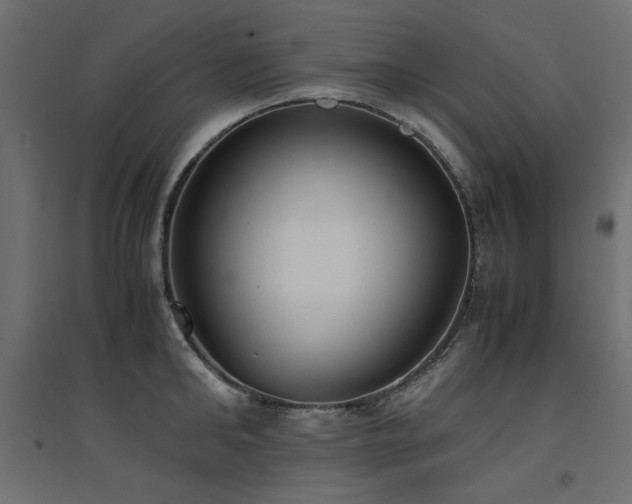 X0000094910902200711291252