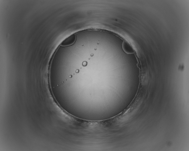 X0000094910903200711291252
