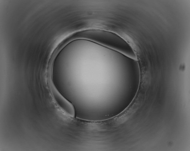 X0000094910904200711291252
