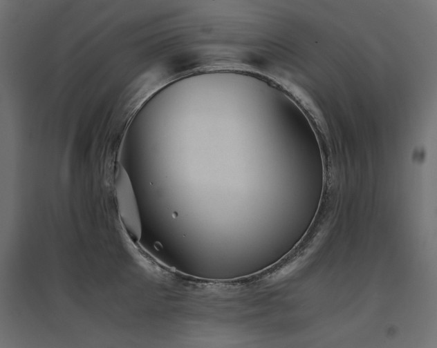 X0000094910905200711291252