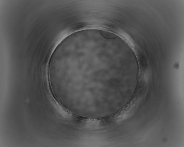 X0000094910907200711291252