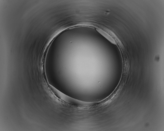X0000094910908200711291252