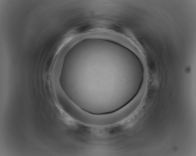 X0000094910909200711291252