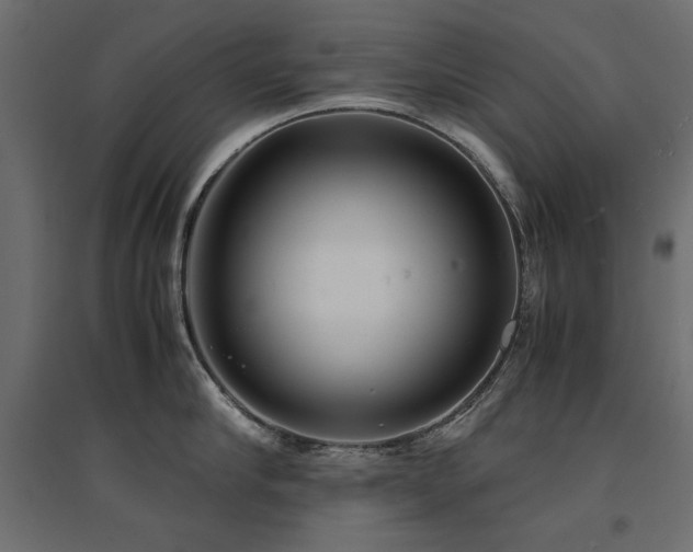 X0000094910910200711291252