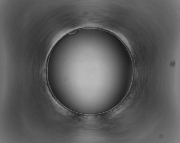 X0000094910911200711291252