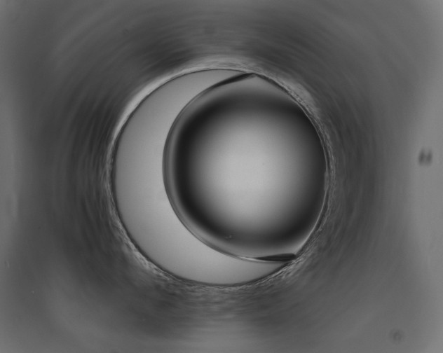 X0000094910912200711291252