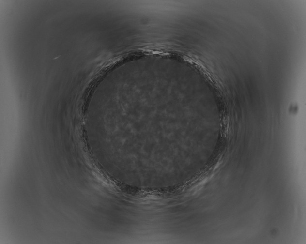 X0000094910913200711291251