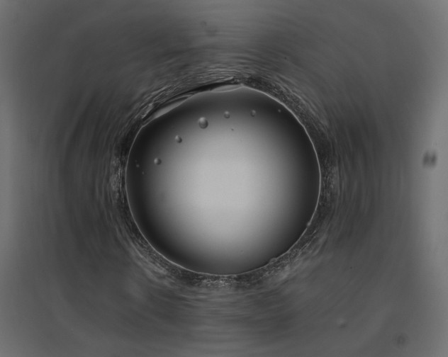 X0000094910914200711291251