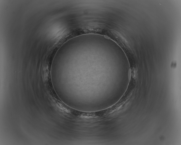X0000094910915200711291251