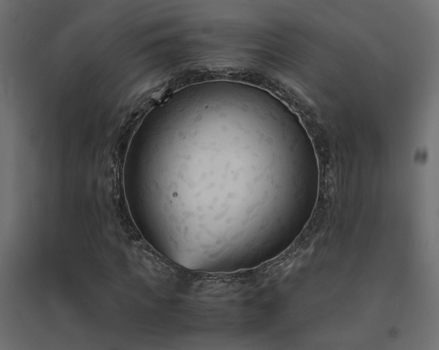 X0000094910917200711291251